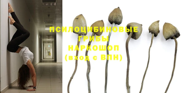 скорость Няндома