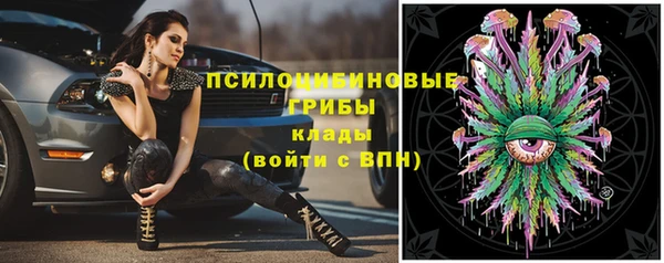 СК Осташков